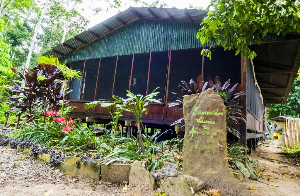 Amazon Planet Hotel Tambopata Eksteriør billede