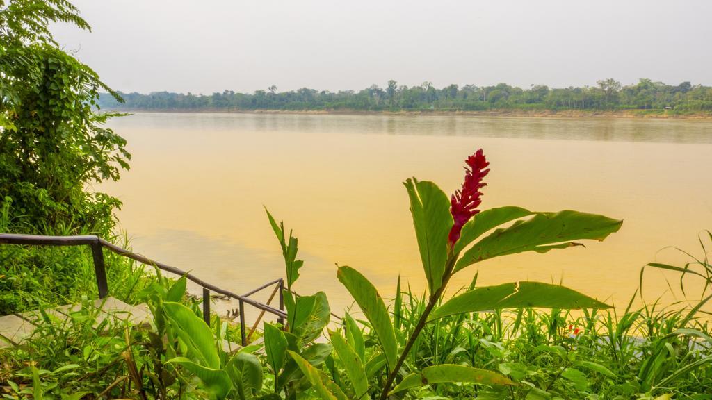 Amazon Planet Hotel Tambopata Eksteriør billede