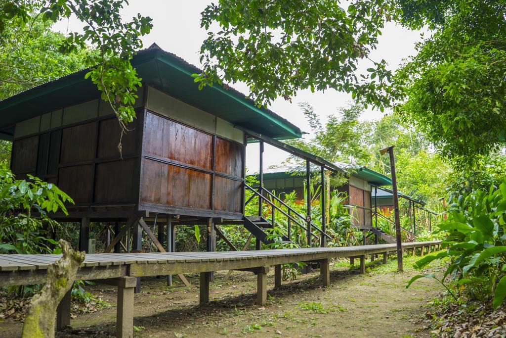 Amazon Planet Hotel Tambopata Eksteriør billede