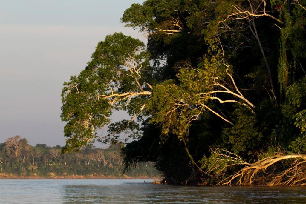 Amazon Planet Hotel Tambopata Eksteriør billede